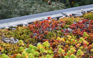 the cost of Firsdown green roof installation