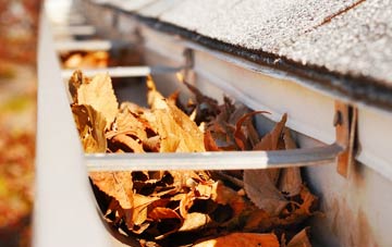 Firsdown gutter cleaning companies