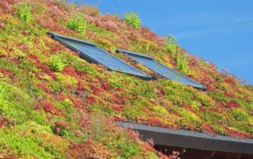 Firsdown living roof systems