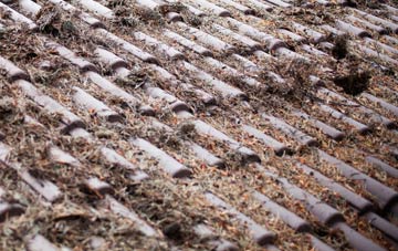 Firsdown roof cleaning companies