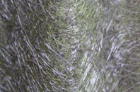 Firsdown fibreglass roof work