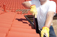 Firsdown roof cleaners