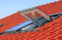 Firsdown roof window